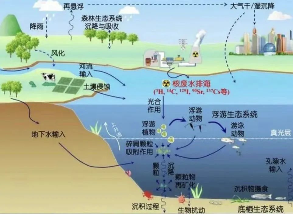 4887铁l算盘资料